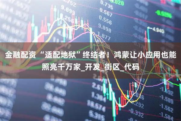 金融配资 “适配地狱”终结者！鸿蒙让小应用也能照亮千万家_开发_街区_代码